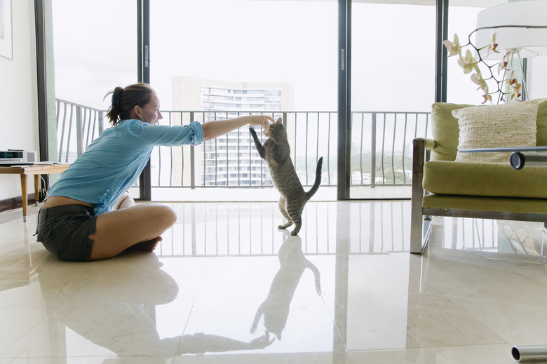 Woman sitting on floor playing with cat