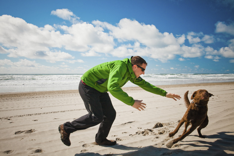 Why Do My Dogs Do That? Short Answers To 10 Of Your Dog Behavior Questions