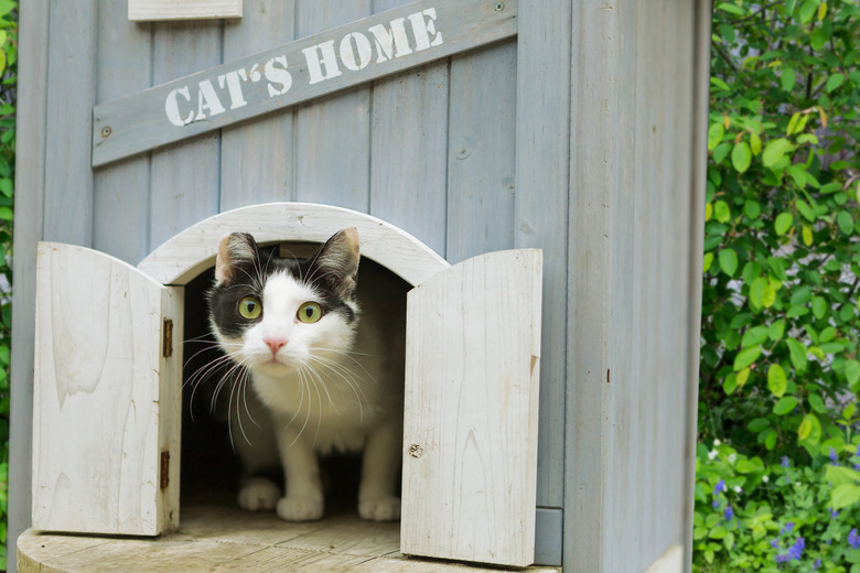 A wooden structure with the words cat's home painted across the front of it. The structure has two small doors which are open and a cat is crouched inside with its head poking out.
