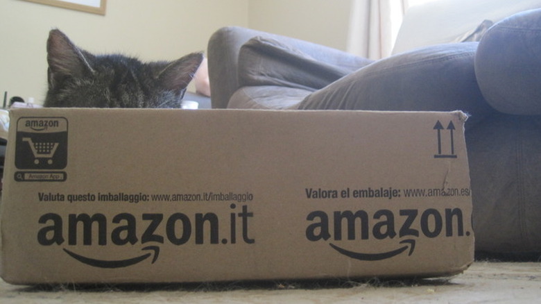 10 Cats Who Are Winning At Hide And Seek