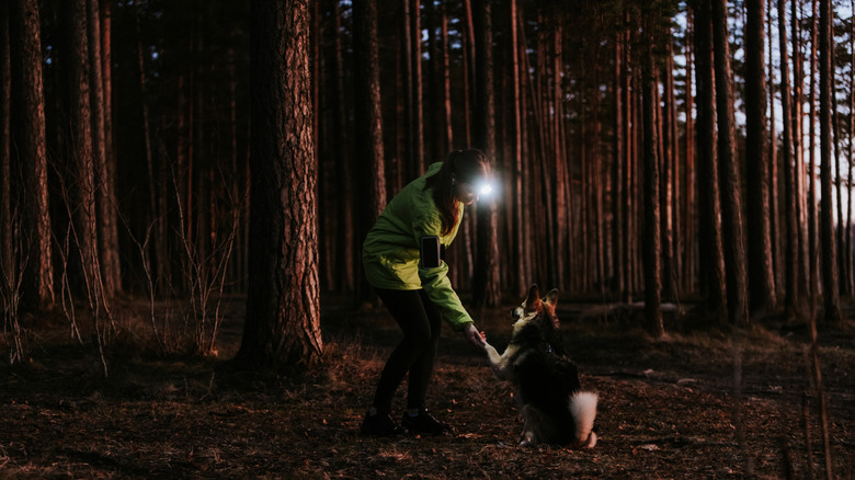 A young woman with a lit headlamp leans down to hold paws with her dog in a dark forest