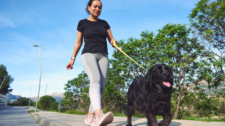 A woman in sweatpants walks along the sidewalk with her large black dog on a leash