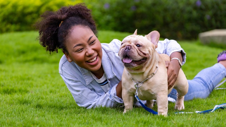 A laughing woman plays with her French bulldog puppy on a sunny lawn