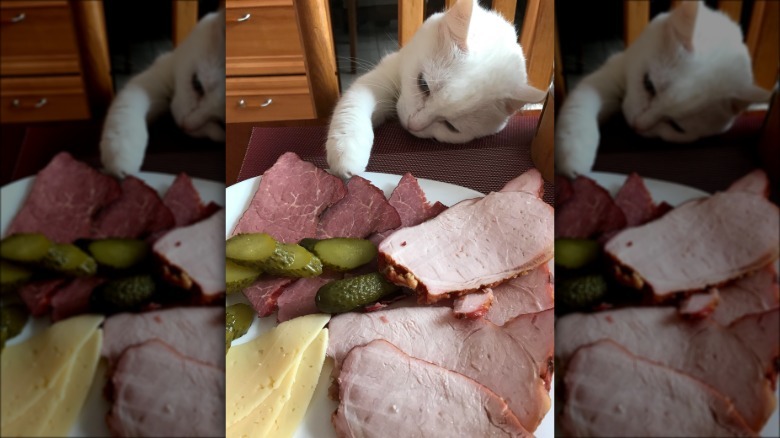 White cat paws at charcuterie board.