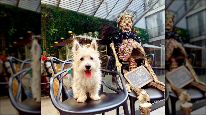 dog sitting next to a decorated skeleton.