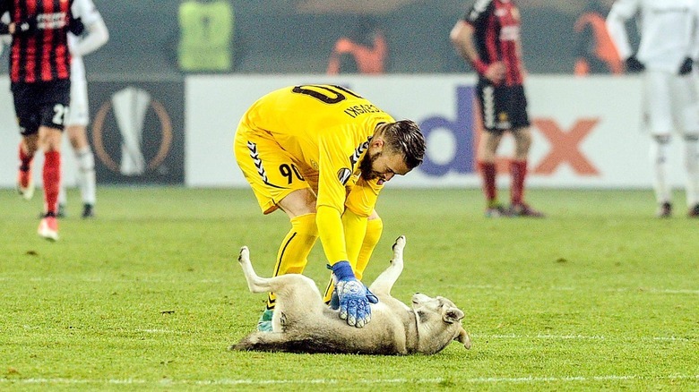 Athletes on a field with one in the foreground bent over, rubbing the belly of a dog laying on their back on the field.