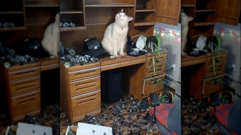 cat pushes giant pile of toy soliders off desk.