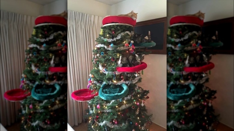 Christmas tree with beds for cats at different levels.