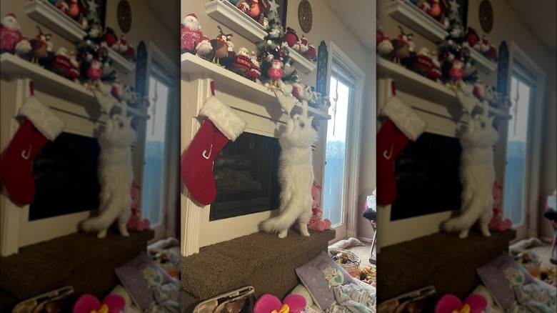 white cat pawing at Christmas tree above fireplace.