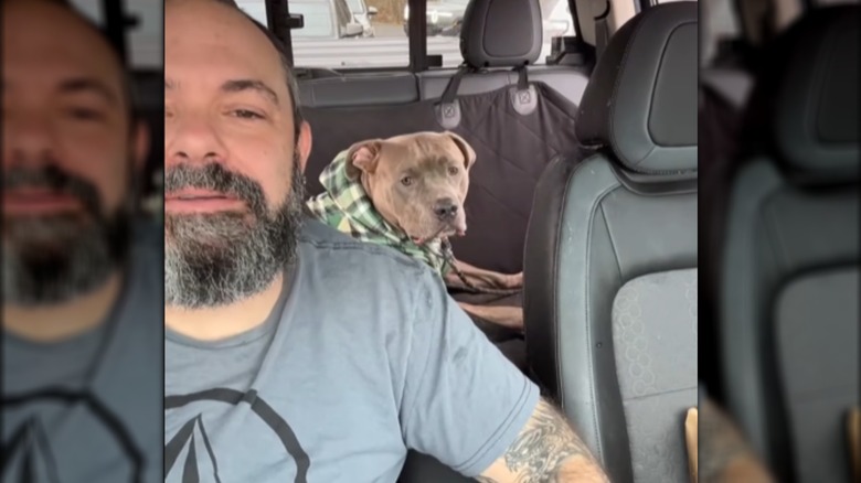 A man and a pit bull inside a car.