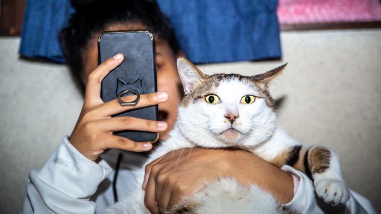 Girl holding a cat and using her phone