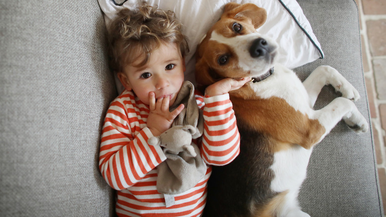 A young boy lying on a couch next to a beagle.