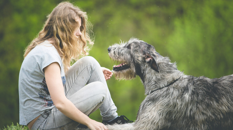 A long-haired blond woman sitting outside, looking at an Irish wolfhound.