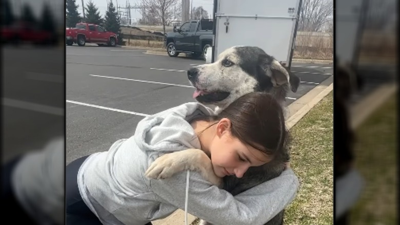 A young girl hugging a senior husky in a parking lot.
