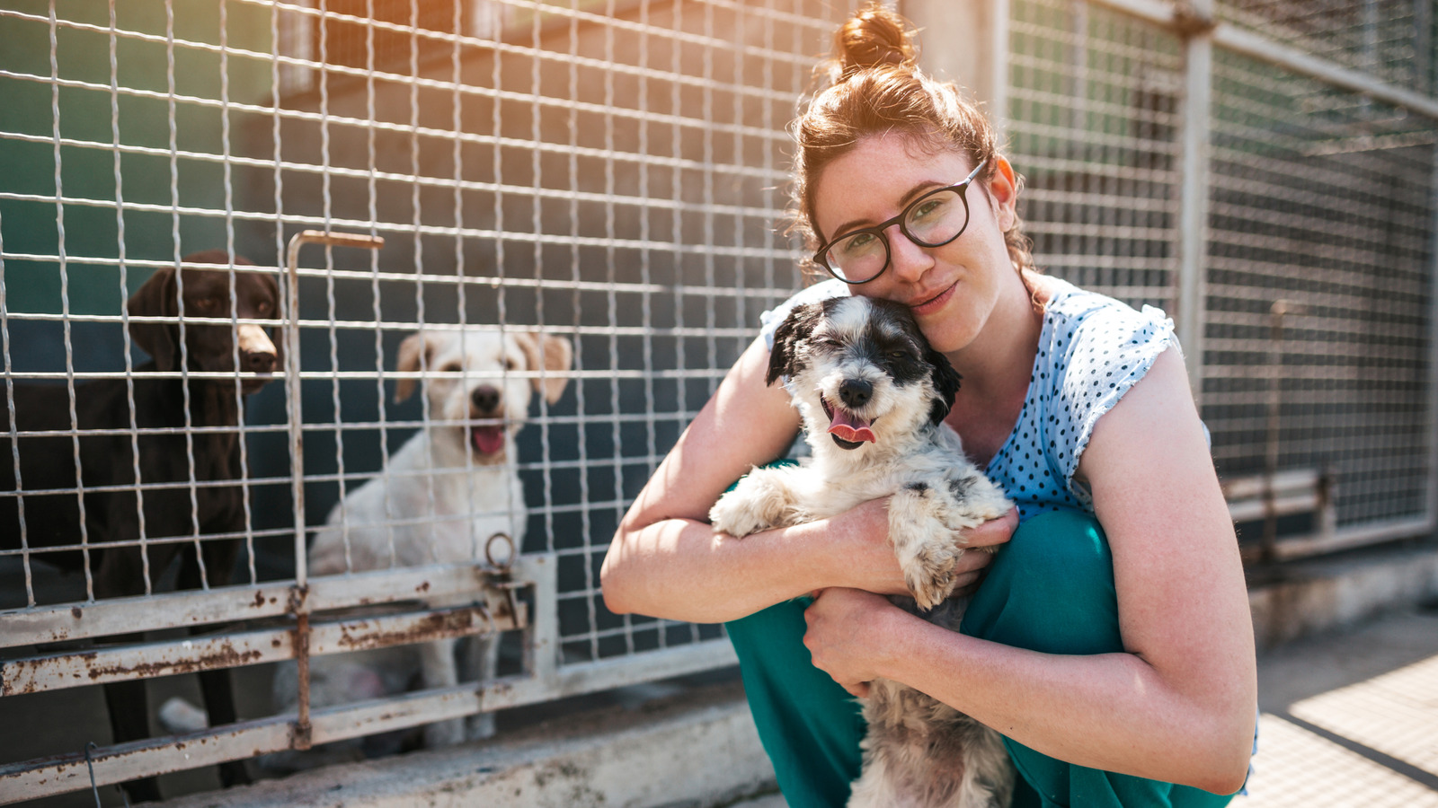 15 Rescue Dogs Who Found Their Forever Homes And Made Us Cry Happy Tears