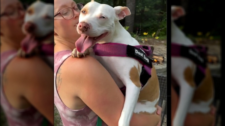 A woman in glasses holding a small white and brown dog outdoors.