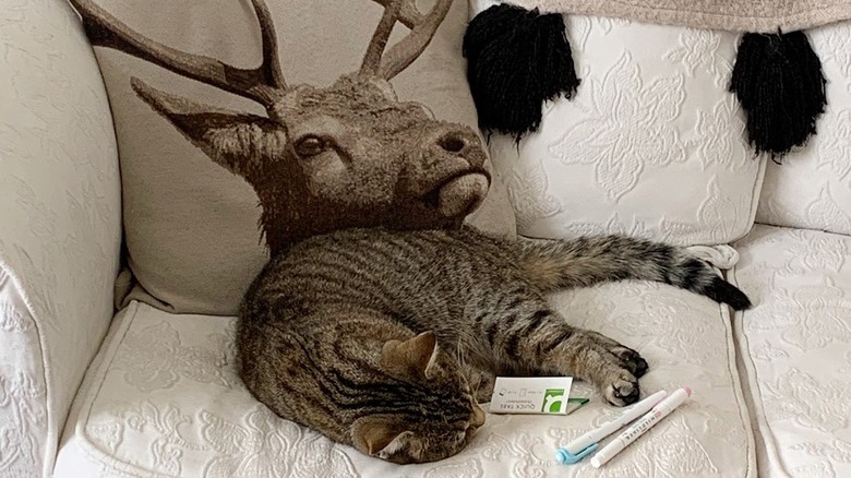 cat blends into couch pillow with deer on it