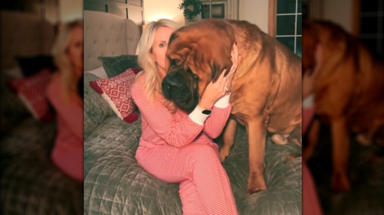 A woman in pink pajamas hugging a mastiff on a bed.