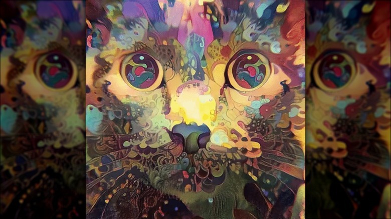 catnip is a hell of a drug
