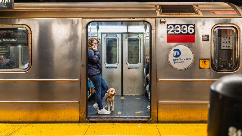 Dog on a subway