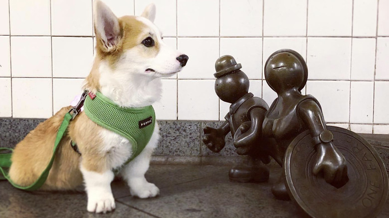 A corgi near a statue in the subway.