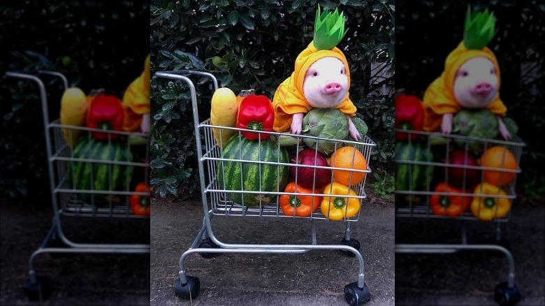 Pig in grocery cart with vegetables.