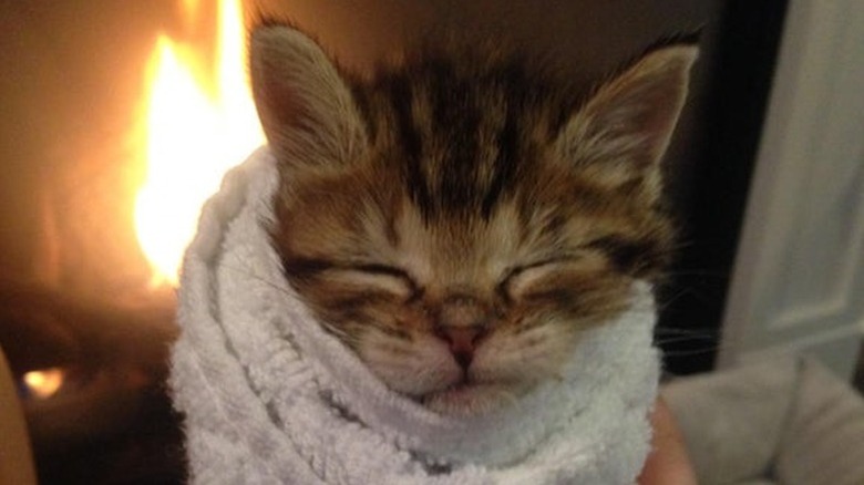 A brown striped kitten wrapped up in a white towel beside a fireplace.