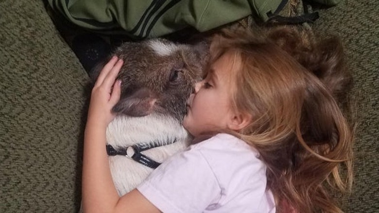 A little girl cuddling and kissing a pig while lying on a bed.