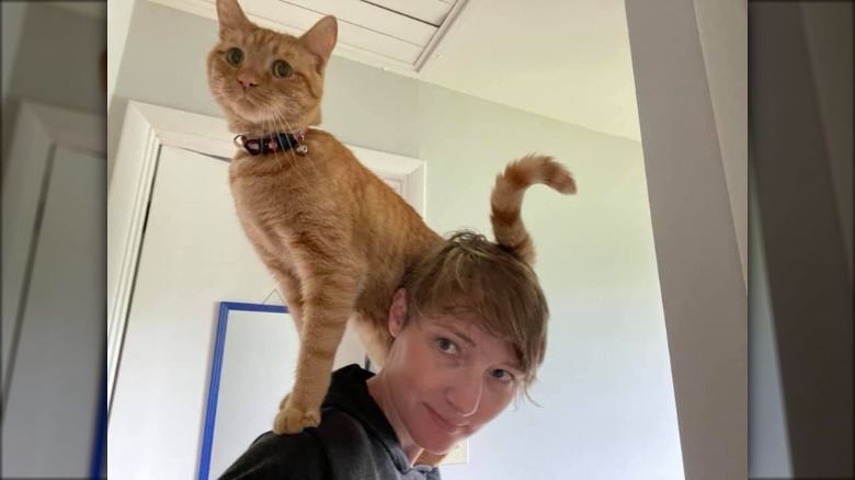 cat stands on woman's shoulder