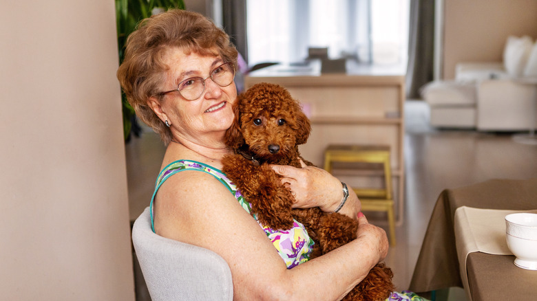 A senior woman in flowered dress and glasses holding a small poodle mix.