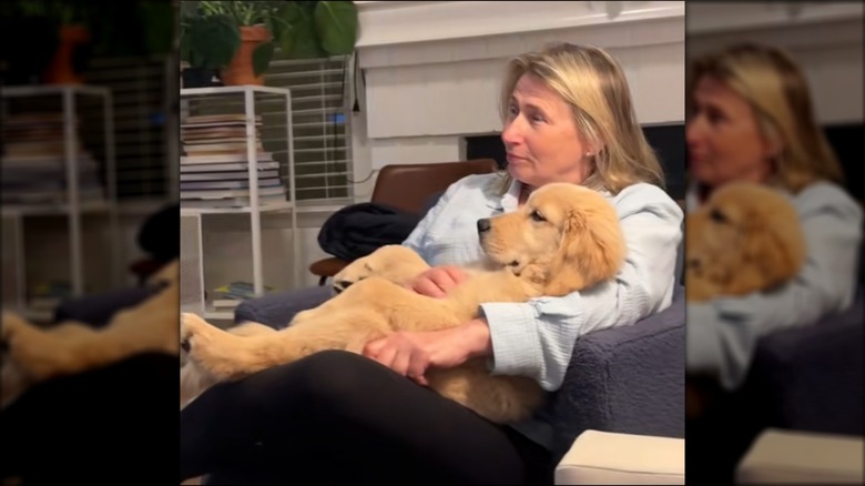 A blonde woman cuddling with a golden retriever on a blue chair.
