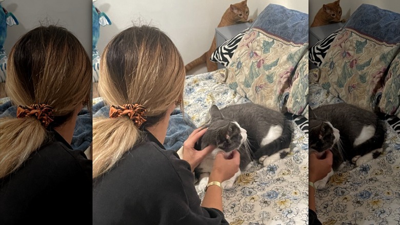 A woman petting one cat while another comes to see her