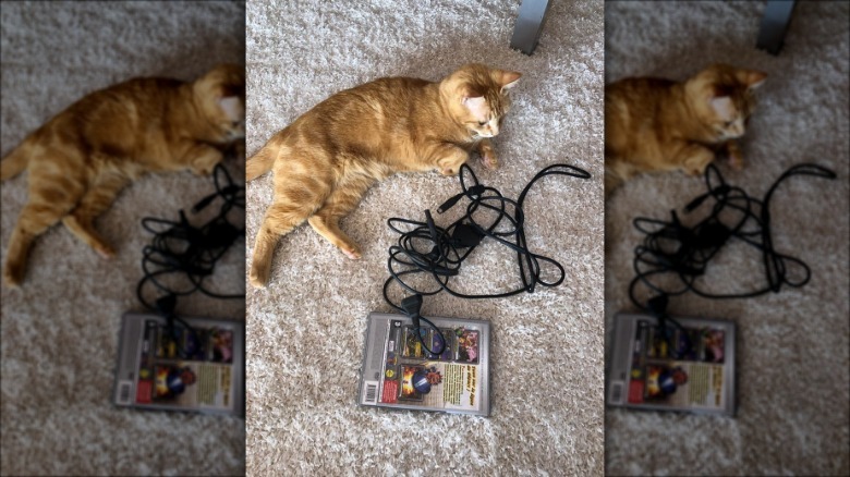 A ginger cat is with a gaming peripheral cables and video game in box.