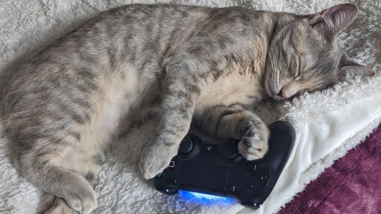 A cat is sleeping with a gaming controller.