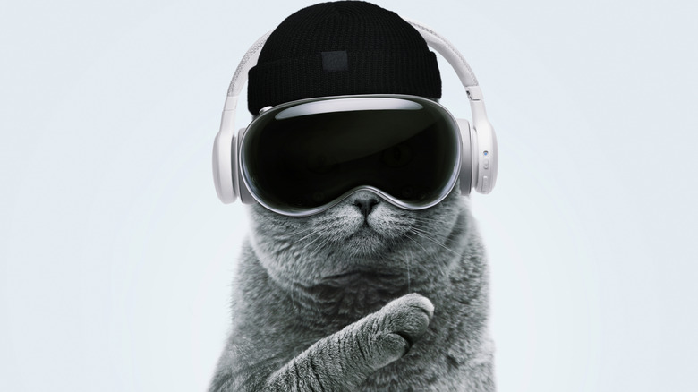 Cat with VR glasses and a beanie