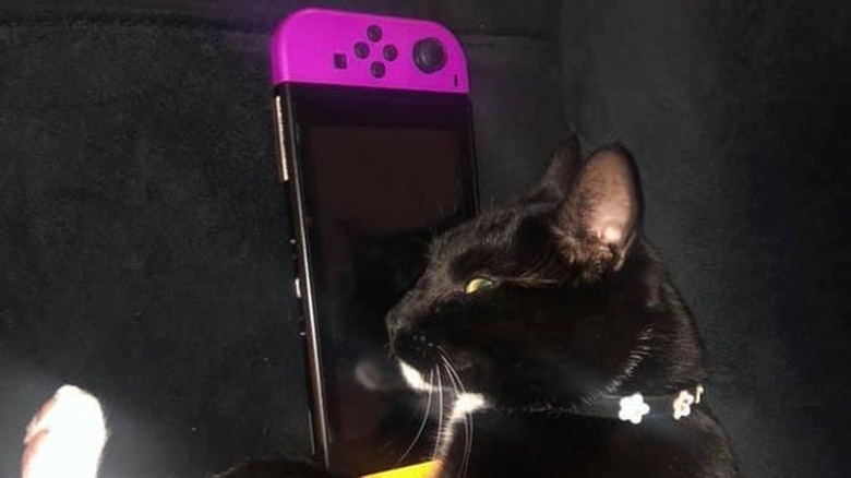 A black cat is laying on Nintendo Switch.