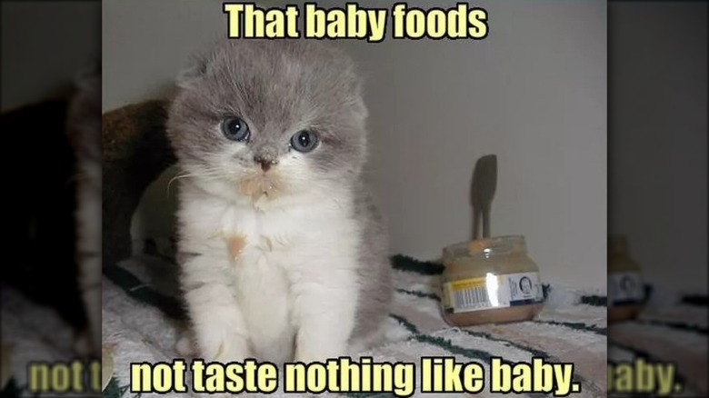 Kitten meme about baby food