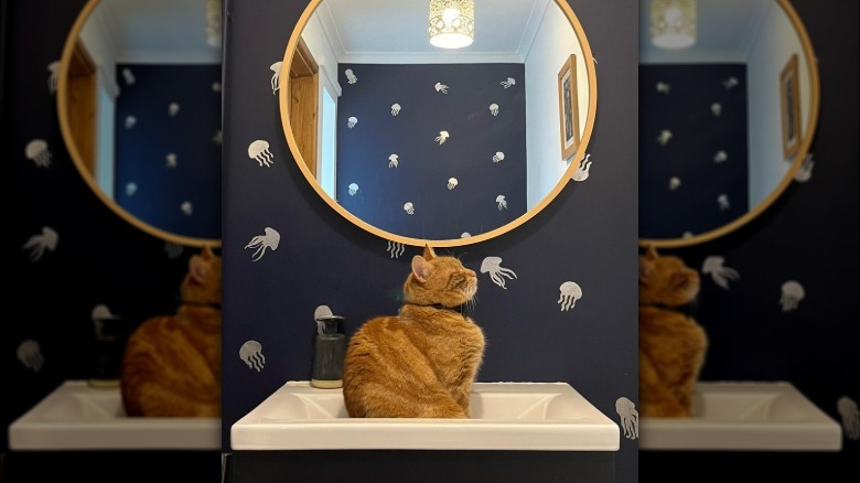 An orange cat sits in a sink in a bathroom with a round mirror and octopus-patterned wallpaper.