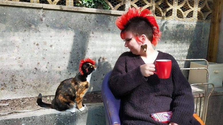 cat stares at woman with mohawk