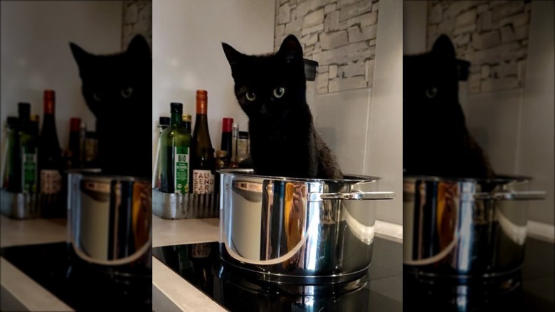 Black kitten sitting inside a large cooking pot on a kitchen counter.