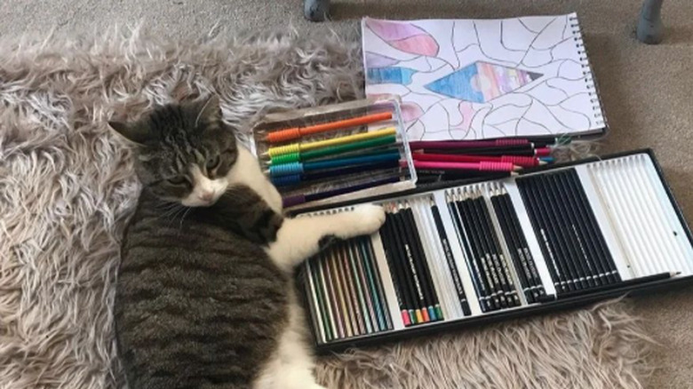 A cat lying on a fluffy rug, with one paw resting on an open tray of art colored pencils. A partially-finished drawing sits in the background.