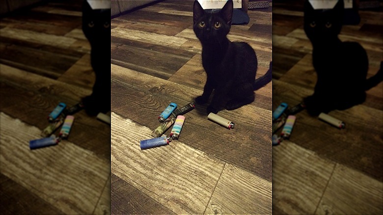 A black kitten sits in front of a pile of lighters.