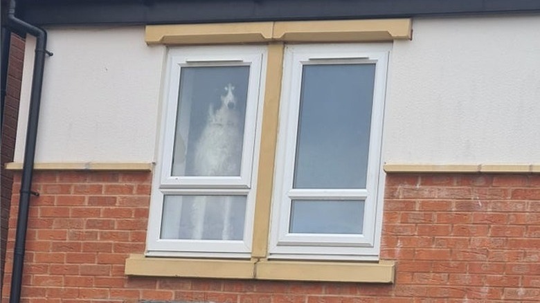 Dog standing in a second story window of a house