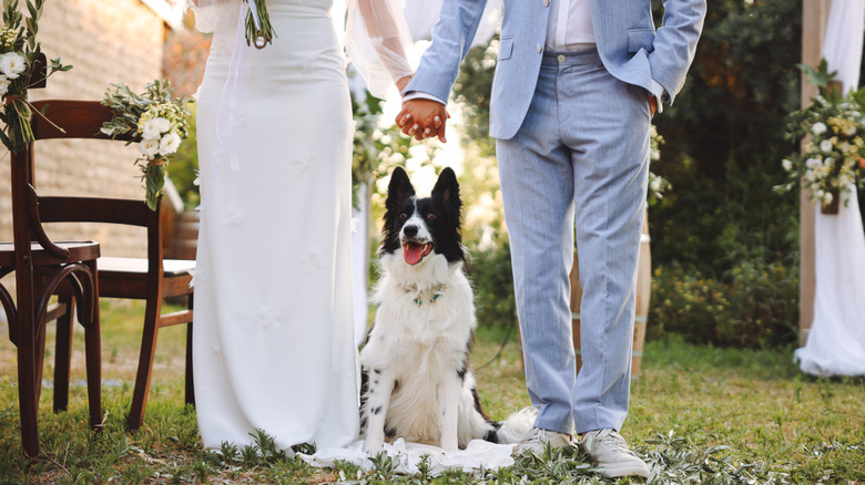 Dog between the bride and groom