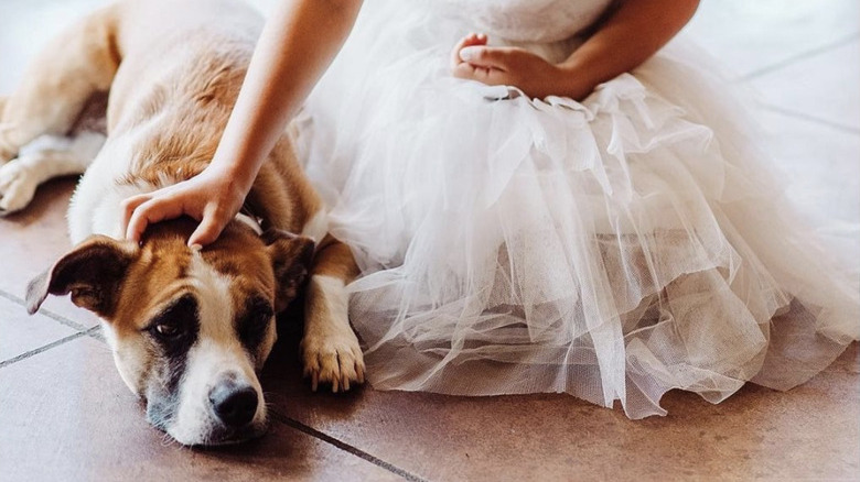 dog with flower girl.