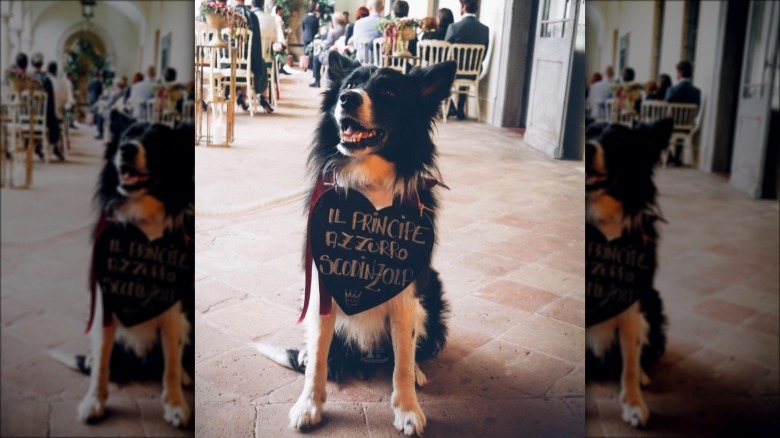 dog holding sign at wedding.