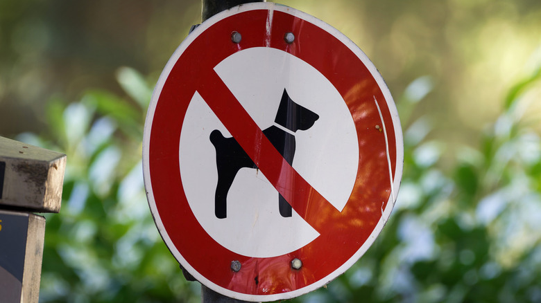 no dogs allowed sign