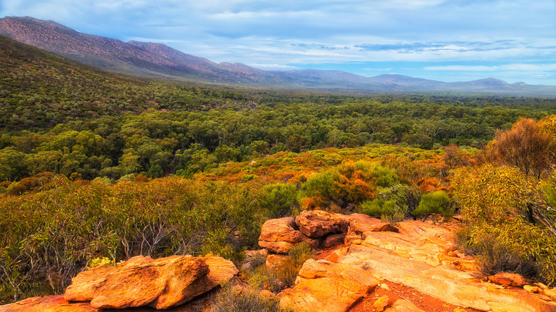 A beautiful view of Flinders Ranges National Park in Australia