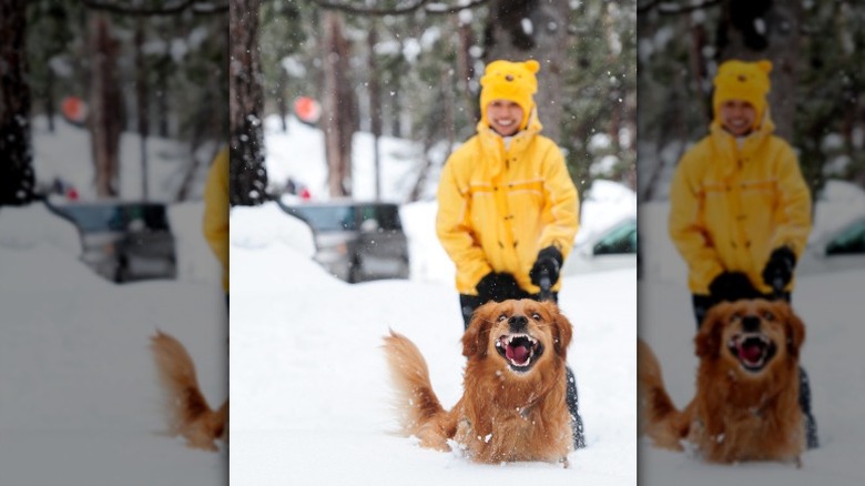 Excited dog running through snow