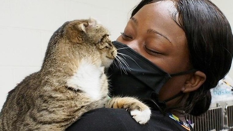 woman adopts first cat